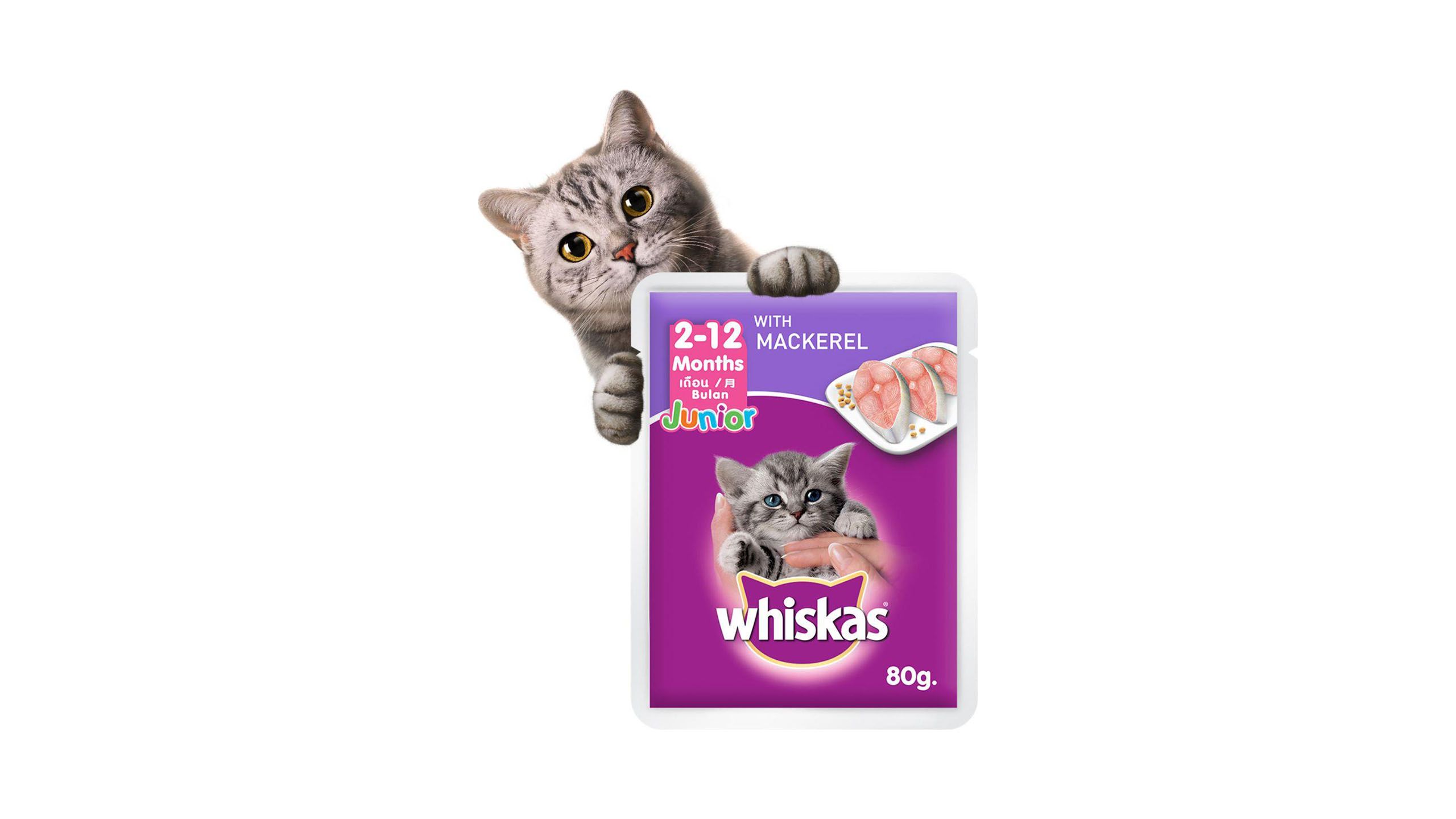 Whiskas 2025 junior mackerel